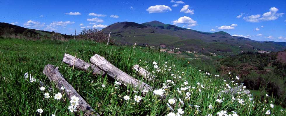 Agriturismo Sorripe Montelaterone Dış mekan fotoğraf