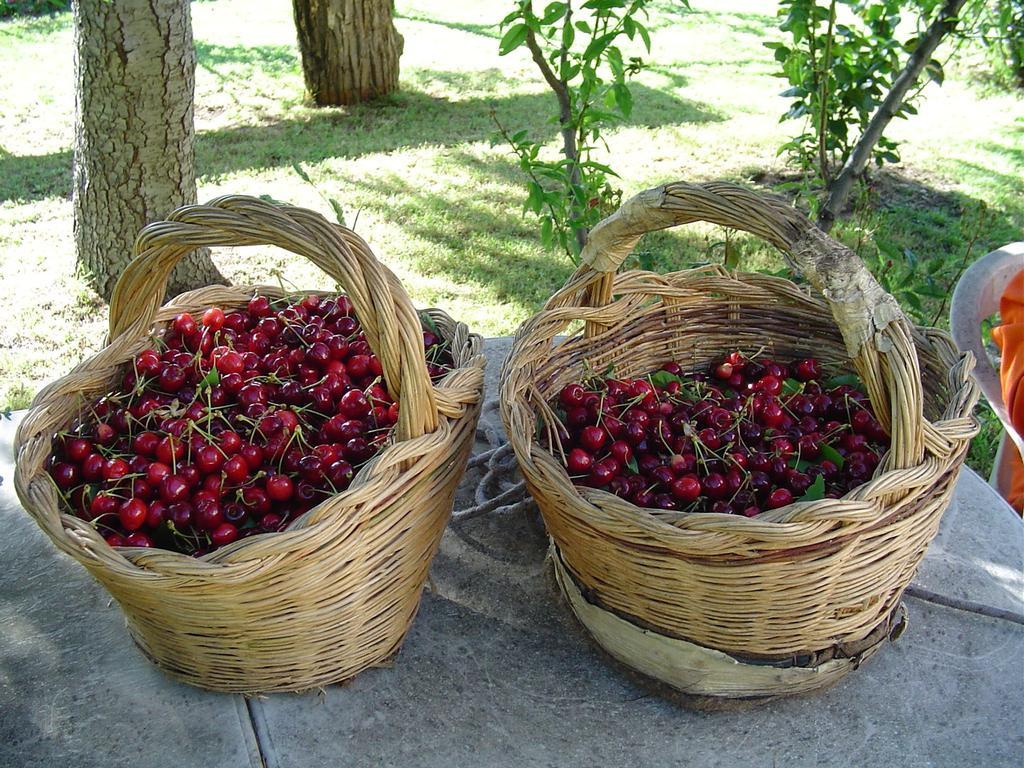 Agriturismo Sorripe Montelaterone Dış mekan fotoğraf